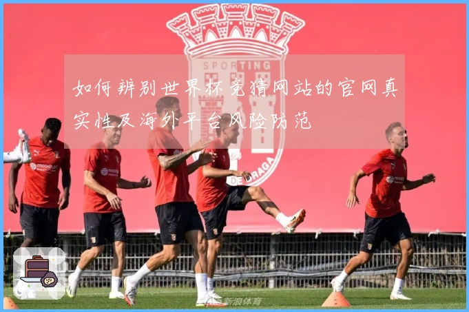 如何辨别世界杯竞猜网站的官网真实性及海外平台风险防范